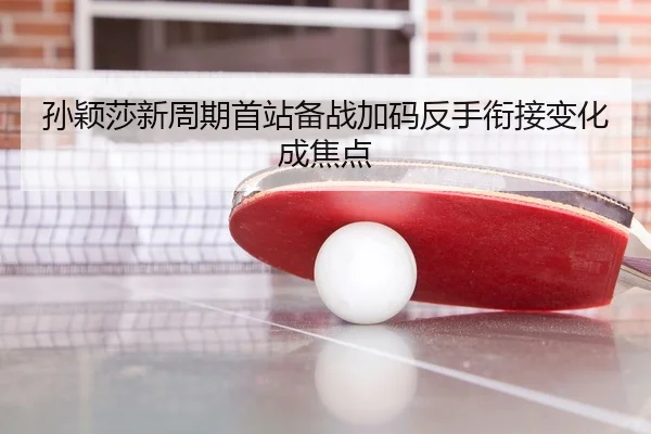 孙颖莎新周期首站备战加码反手衔接变化成焦点