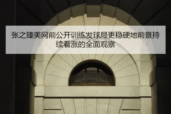 张之臻美网前公开训练发球局更稳硬地前景持续看涨的全面观察